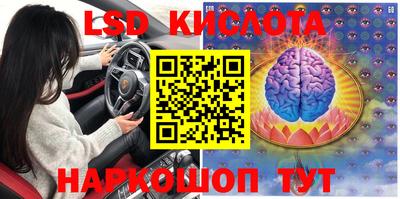 гидра Кулебаки