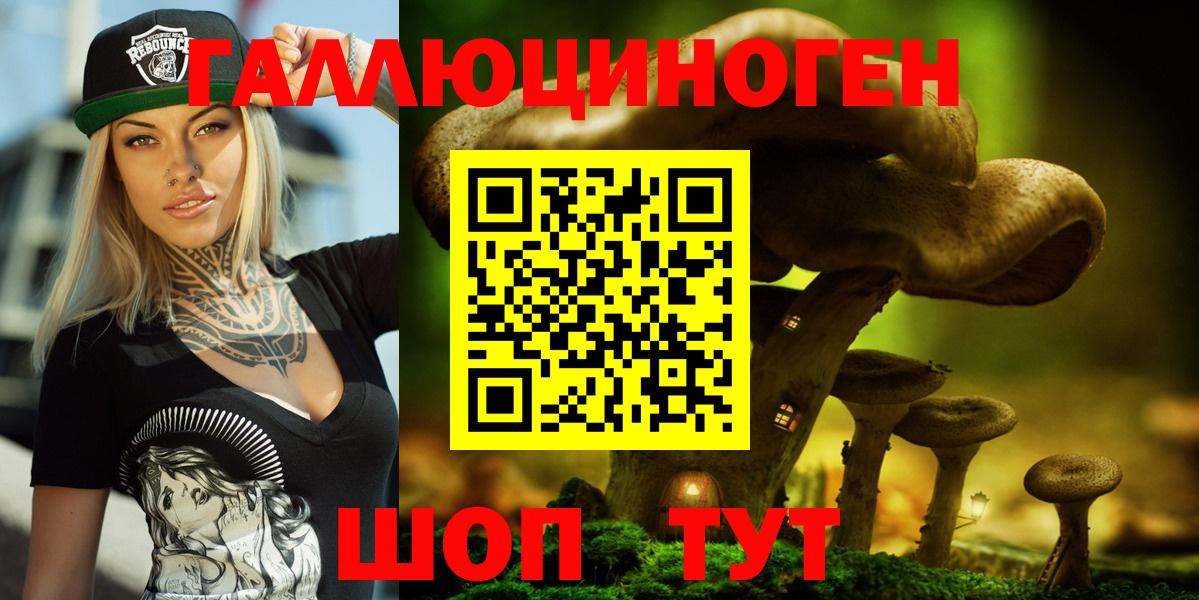 Галлюциногенные грибы Psilocybe Елец