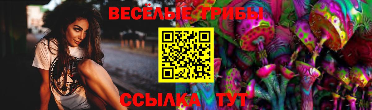 Елец  Псилоцибиновые грибы GOLDEN TEACHER  дарнет шоп  Вход с VPN 